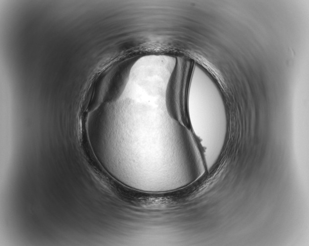 X0000096400493200801241203