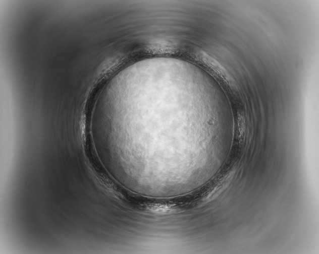 X0000096400494200801241203