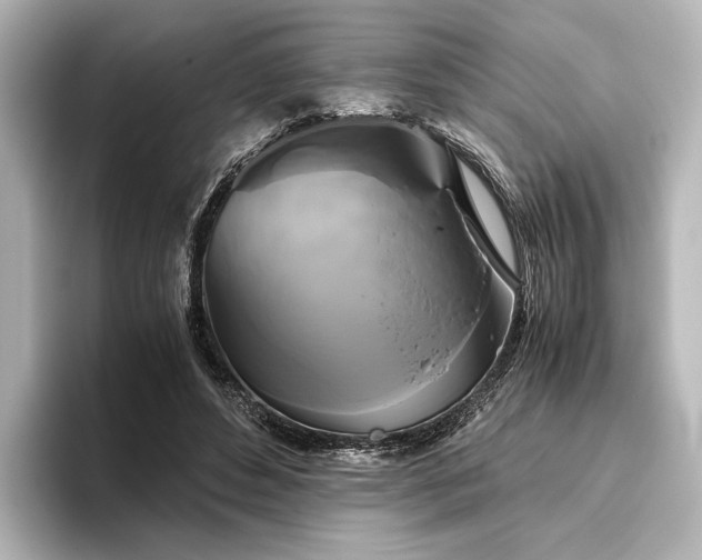 X0000096400496200801241203