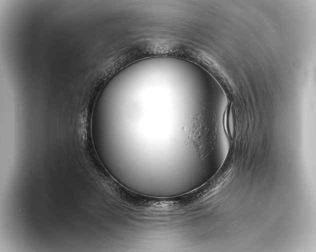 X0000096400497200801241203