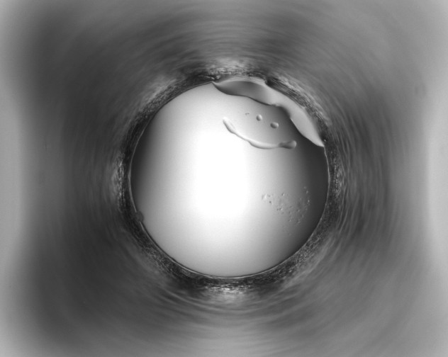 X0000096400498200801241203