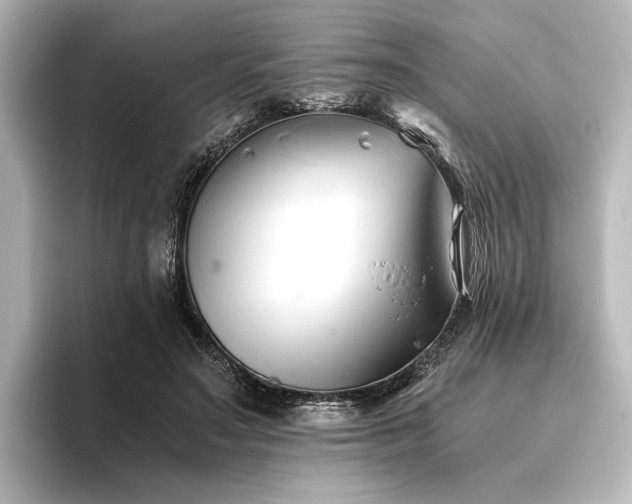 X0000096400499200801241203