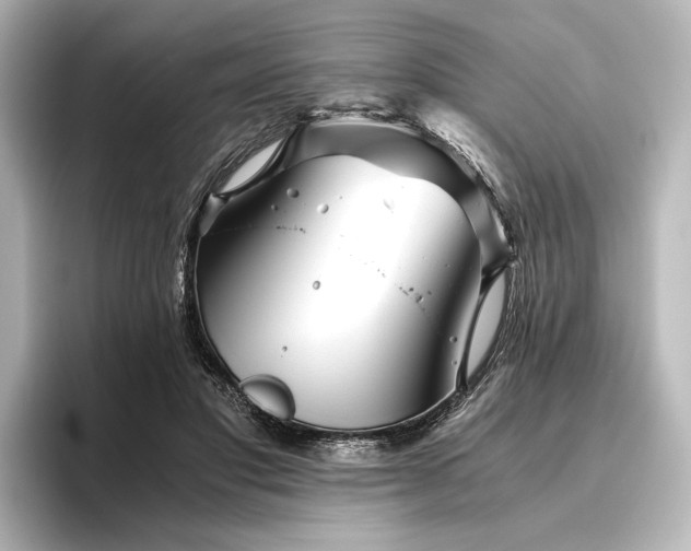 X0000096400501200801241203