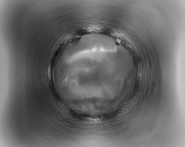 X0000096400502200801241203