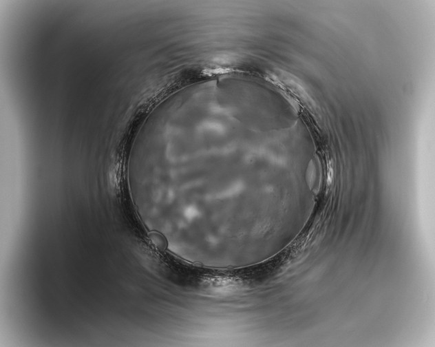 X0000096400503200801241203