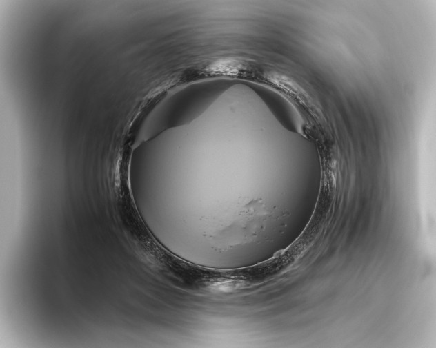 X0000096400504200801241203