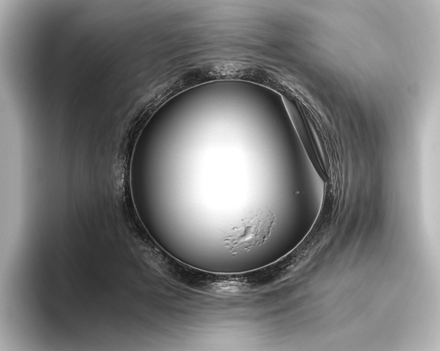 X0000096400505200801241203