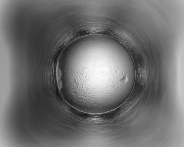 X0000096400506200801241203