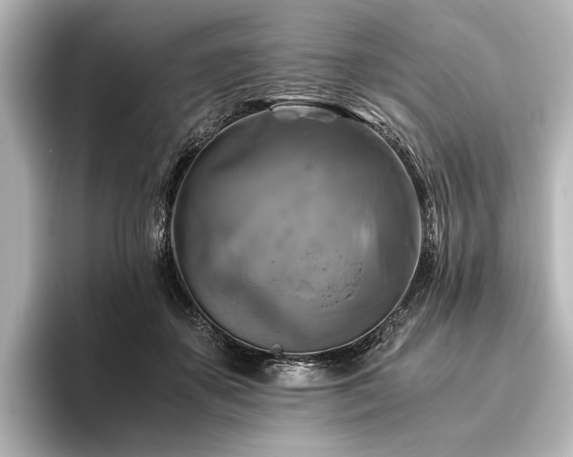 X0000096400507200801241203