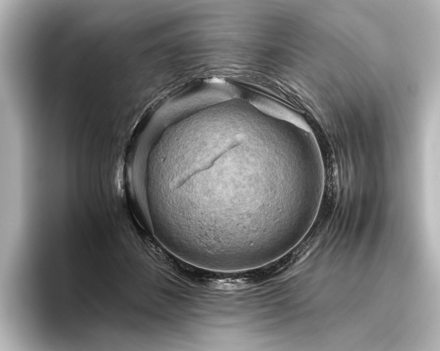 X0000096400508200801241203