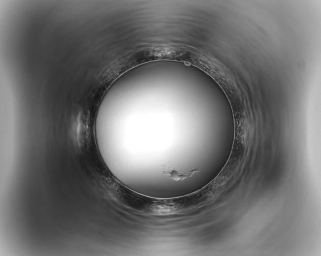 X0000096400510200801241203