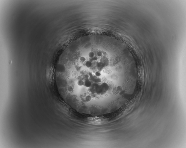 X0000096400511200801241203