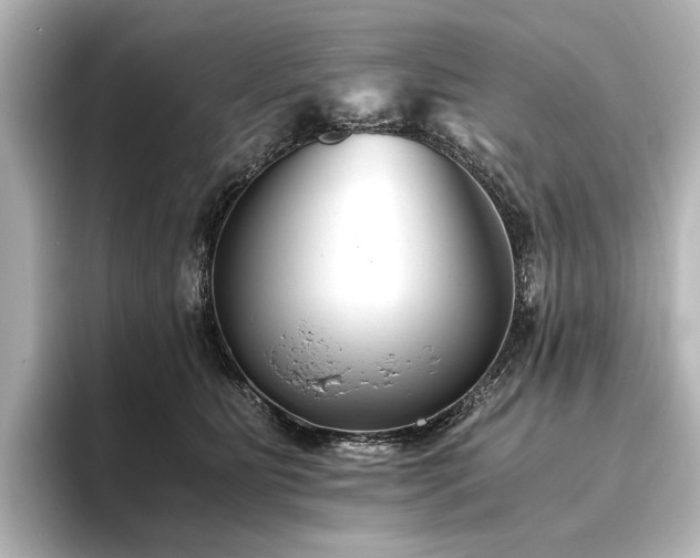 X0000096400515200801241203