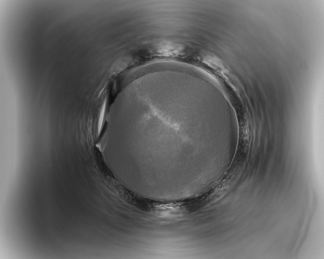 X0000096400516200801241203