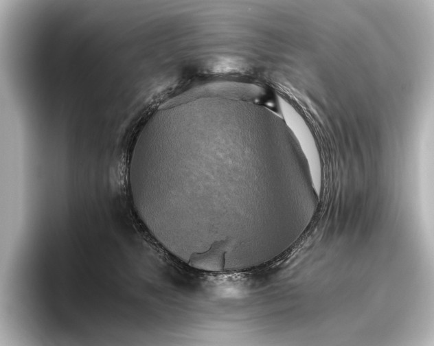 X0000096400517200801241203