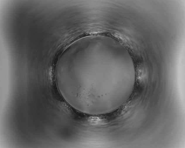 X0000096400519200801241203