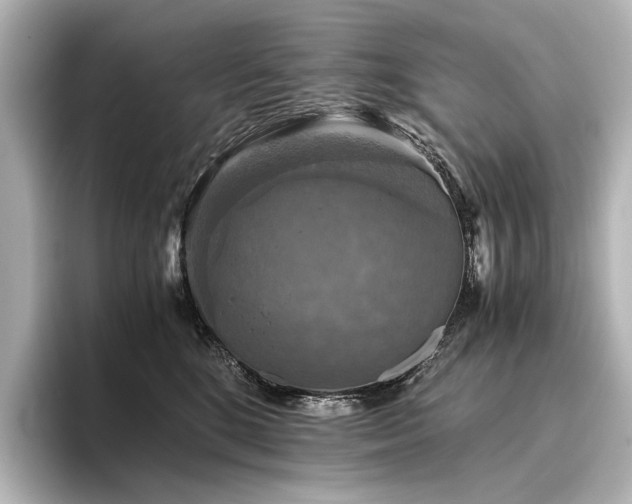 X0000096400520200801241203