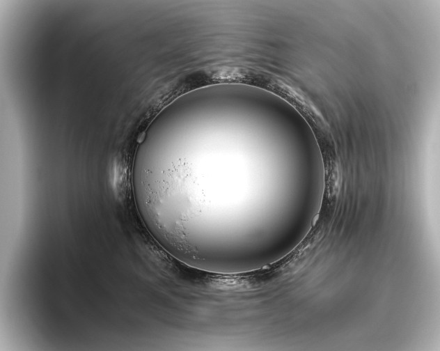 X0000096400521200801241203