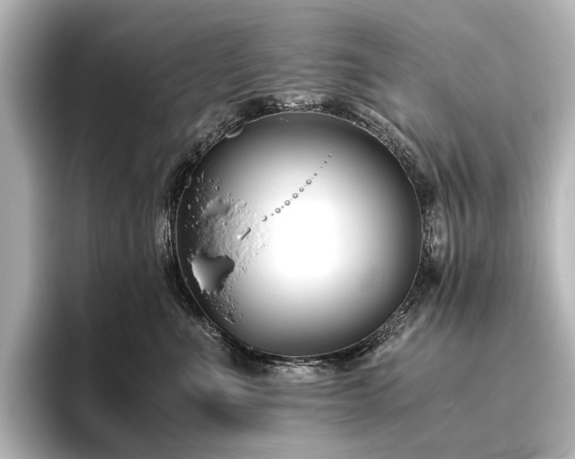 X0000096400523200801241203