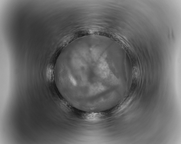 X0000096400527200801241203