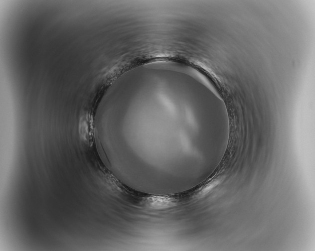 X0000096400528200801241203