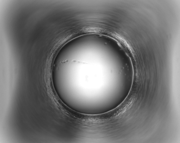 X0000096400529200801241202