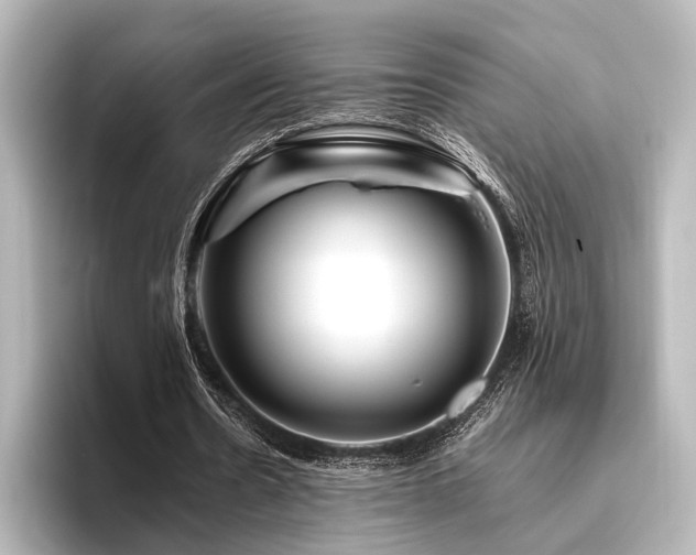 X0000096400530200801241202