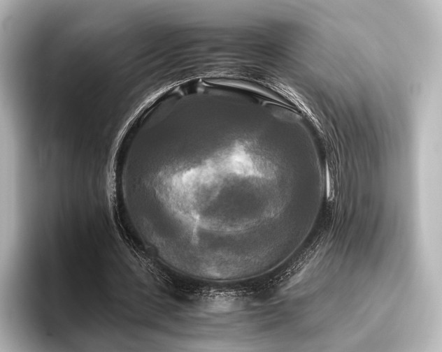 X0000096400531200801241202