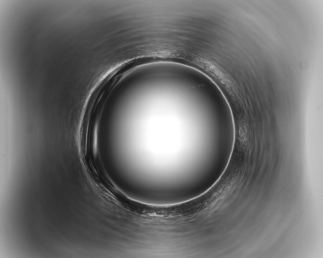 X0000096400532200801241202