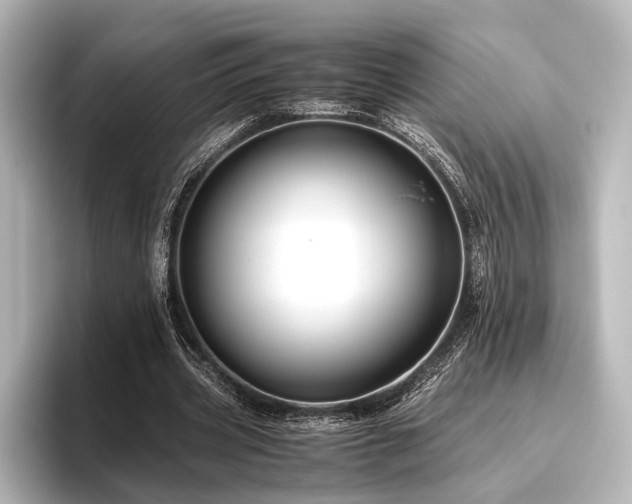 X0000096400533200801241202