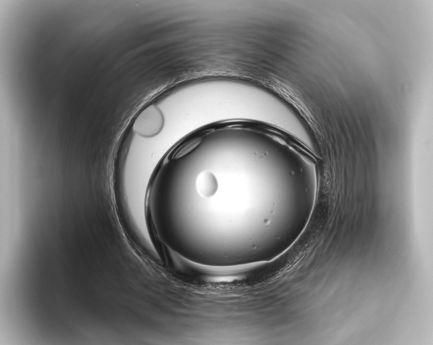 X0000096400534200801241202