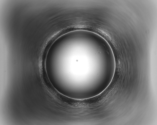 X0000096400535200801241202