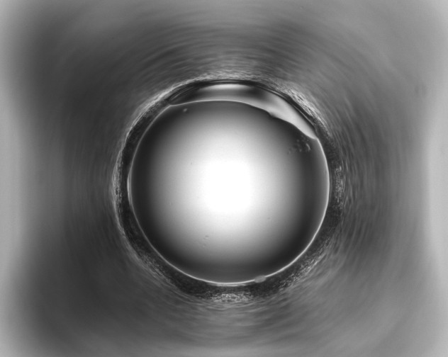 X0000096400536200801241202