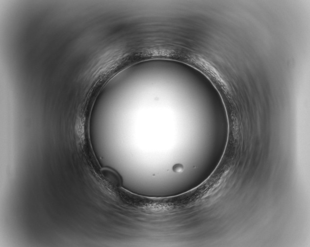 X0000096400537200801241202