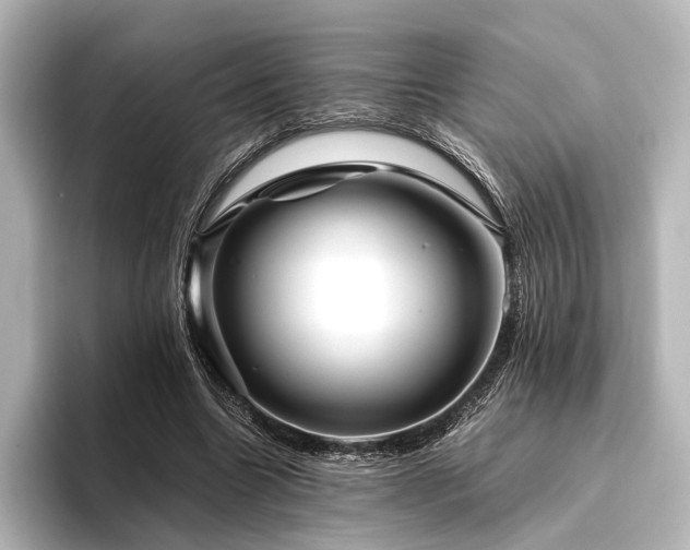 X0000096400538200801241203