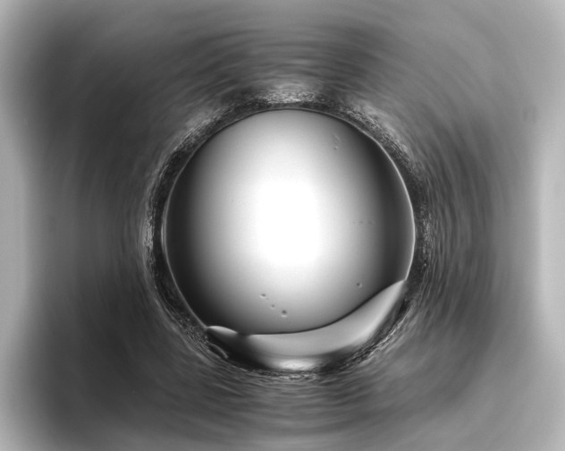 X0000096400539200801241203