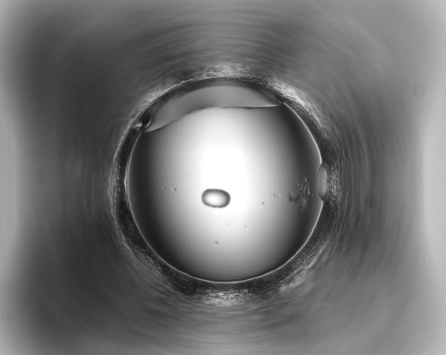 X0000096400540200801241203