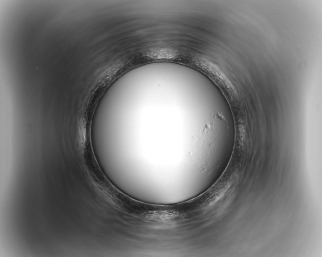 X0000096400541200801241203