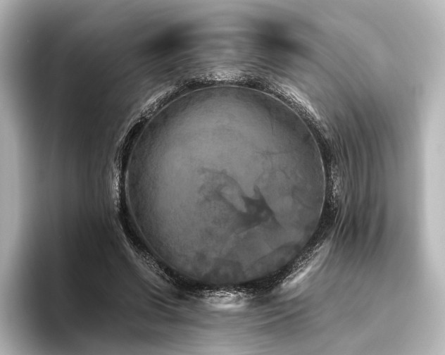 X0000096400542200801241203