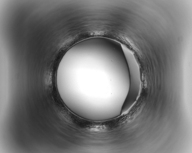 X0000096400543200801241203