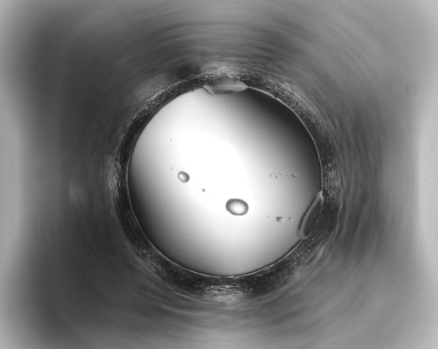 X0000096400544200801241203