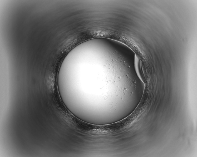 X0000096400545200801241203