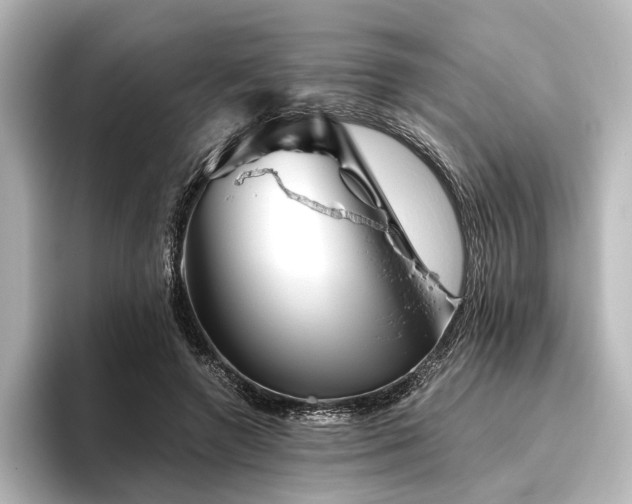 X0000096400546200801241203