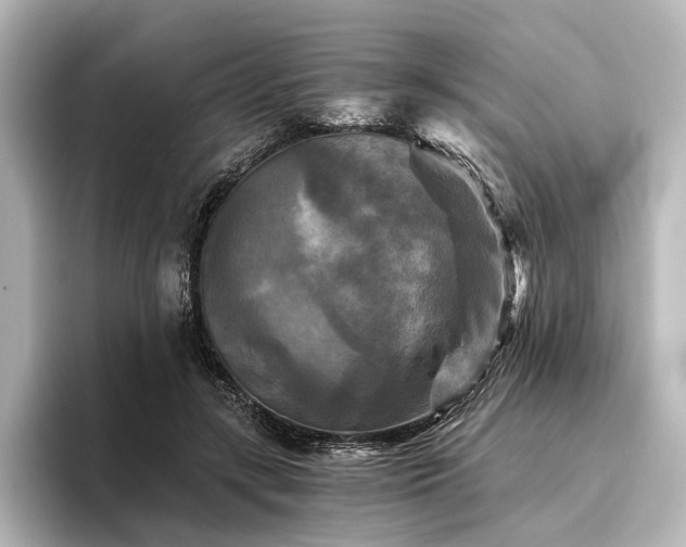 X0000096400547200801241203