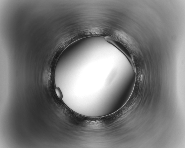 X0000096400548200801241203