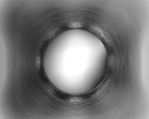 X0000096400549200801241203