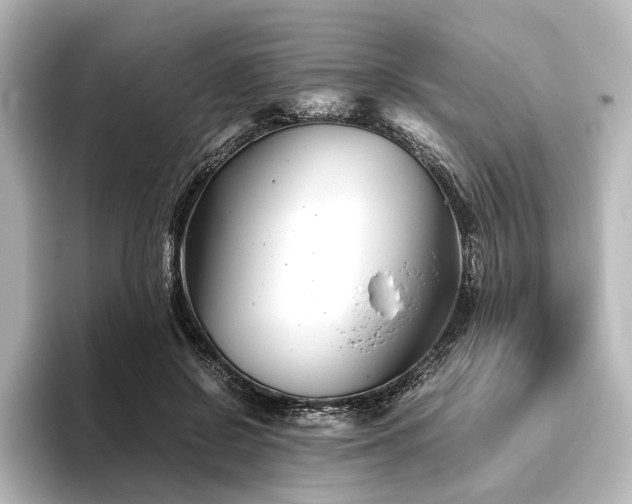 X0000096400550200801241203