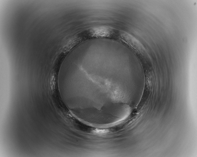 X0000096400551200801241203