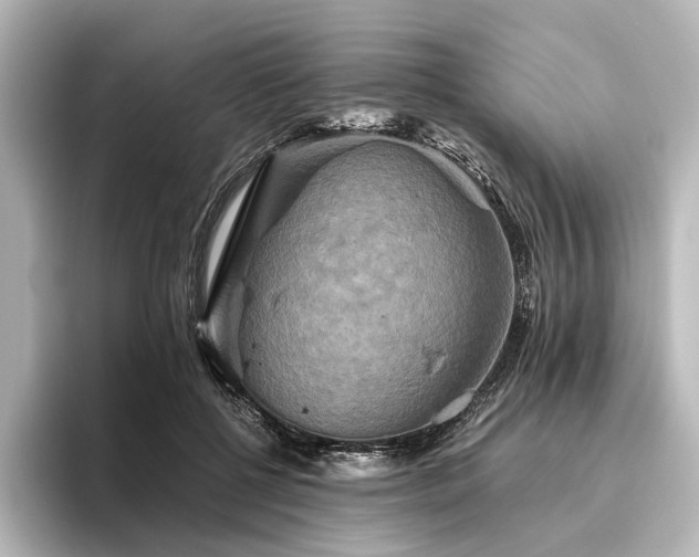 X0000096400552200801241203