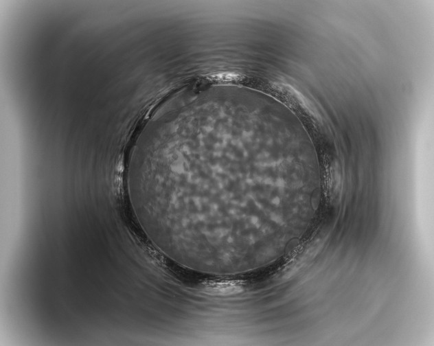 X0000096400553200801241203